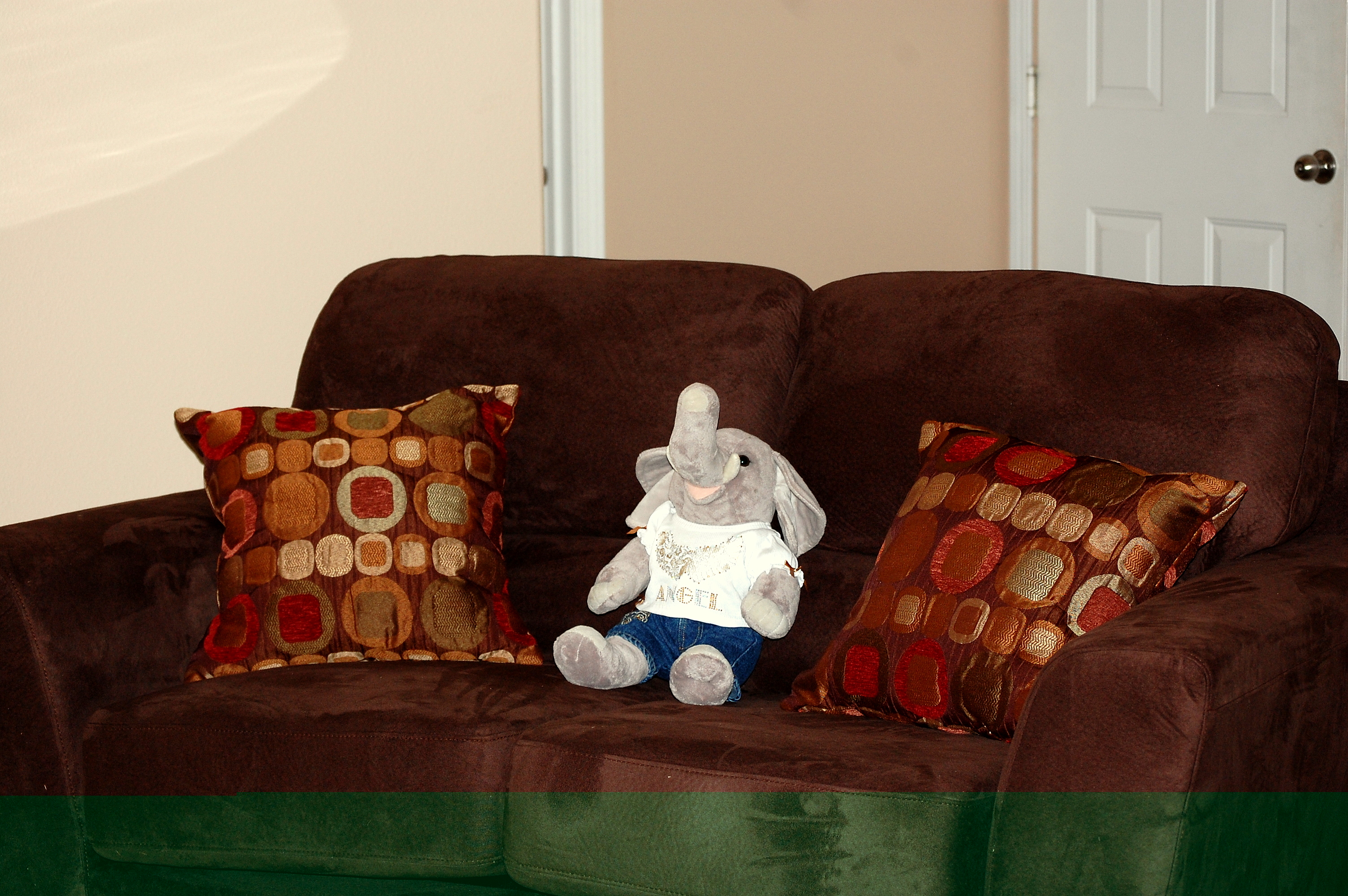 The Elephant in The Room