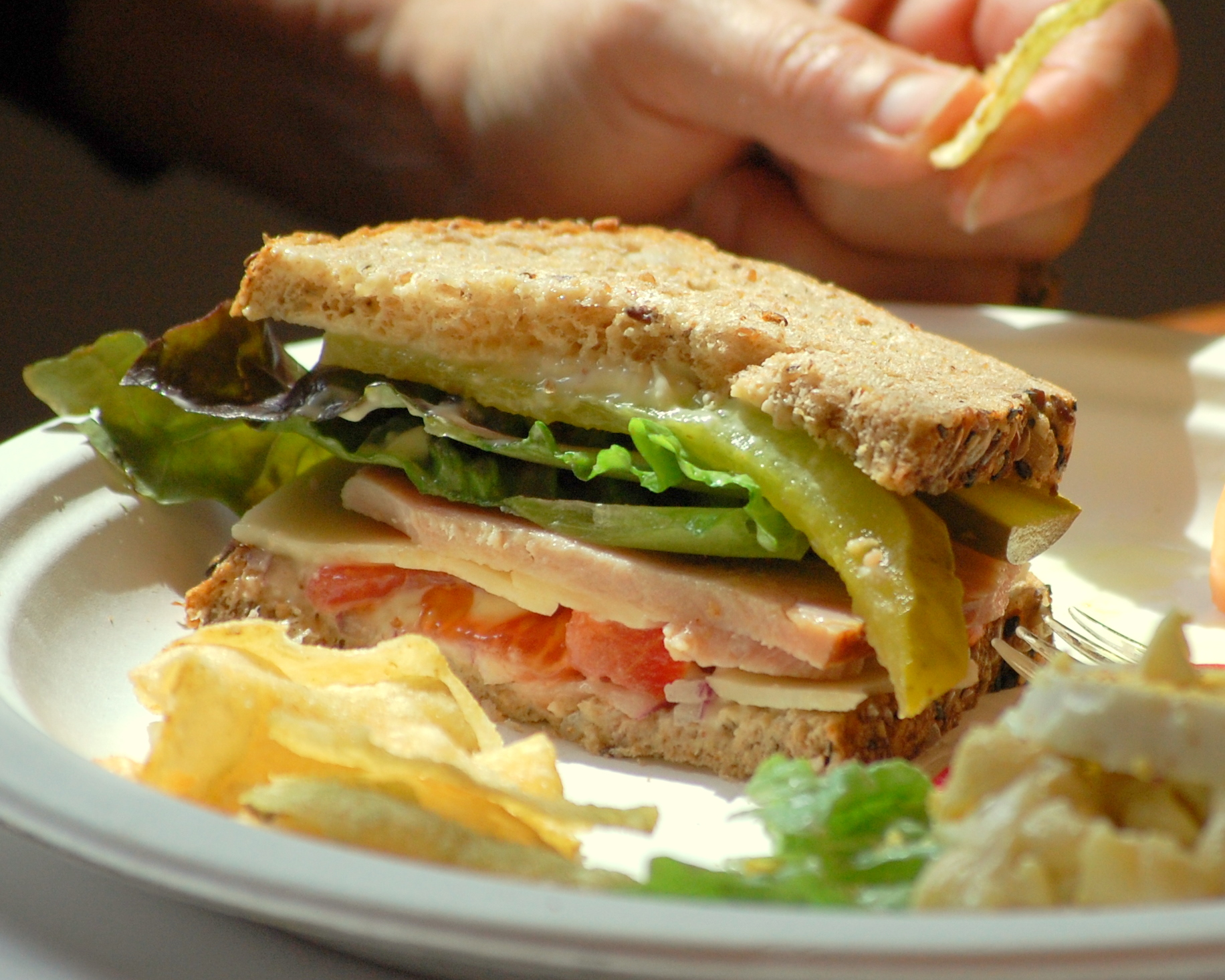 Image result for Garden Turkey Sandwich With Lemon Mayo